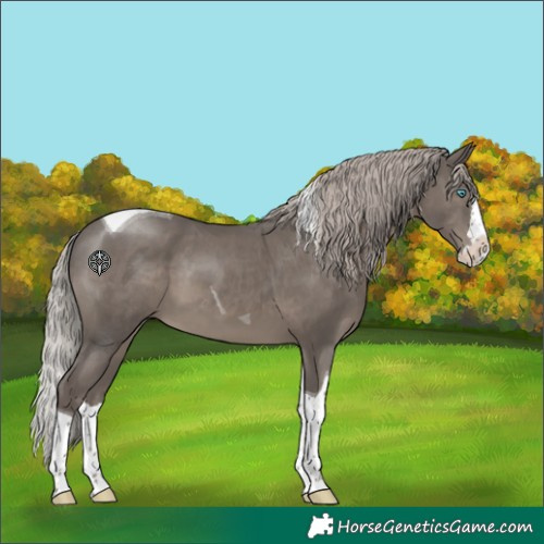 Horse Color:Silver Black Splash Tobiano