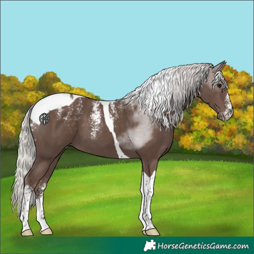 Horse Color:Powder White Silver Black Tobiano 