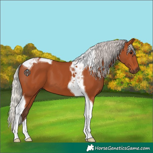 Horse Color:Silver Bay Tobiano 