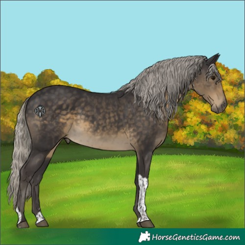 Horse Color:Silver Smoky Black Tobiano 