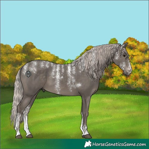 Horse Color:Powder White Silver Black 