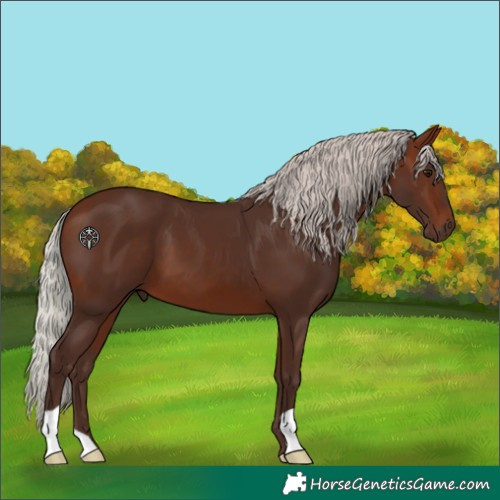 Horse Color:Silver Bay