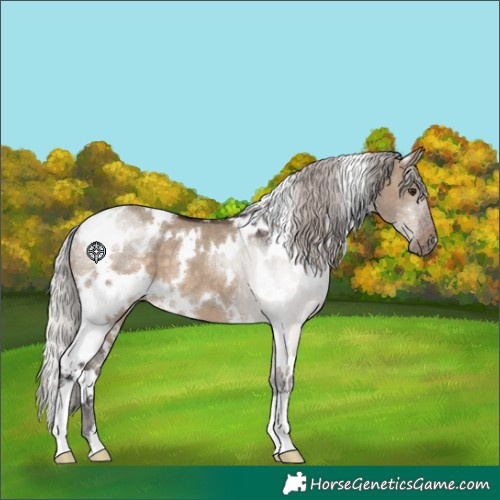Horse Color:White Spotted Silver Brown Dun 
