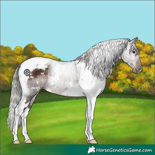 Horse Color:White Spotted Silver Brown Tobiano 