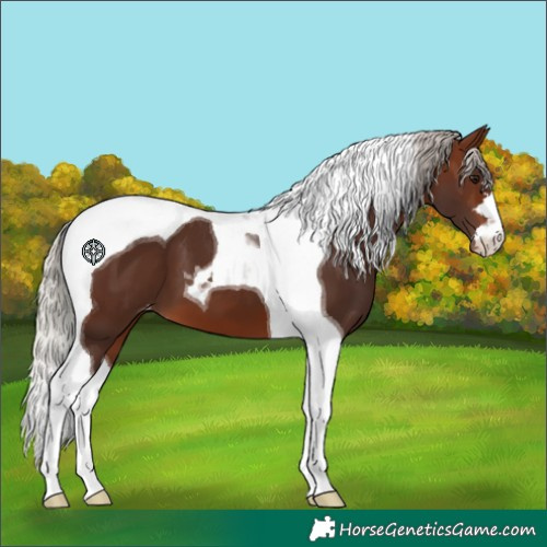 Horse Color:Silver Brown Tobiano Varnish