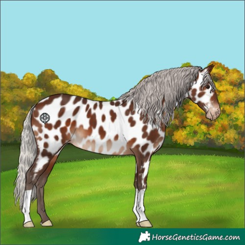 Horse Color:Silver Brown Near Leopard 