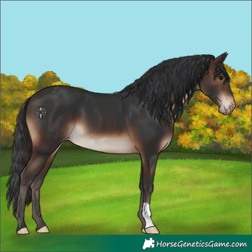 Horse Color:Brown Blanket 