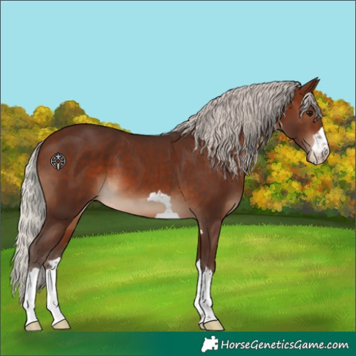 Horse Color:Silver Brown