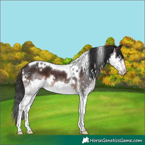 Horse Color:White Spotted Brown Splash Tobiano Varnish