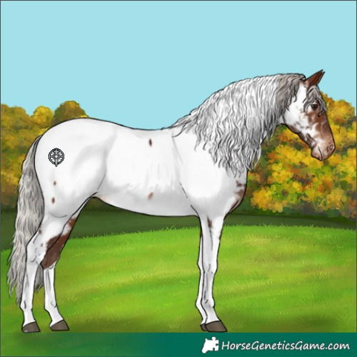 Horse Color:Silver Brown Tobiano Near Fewspot Rabicano 