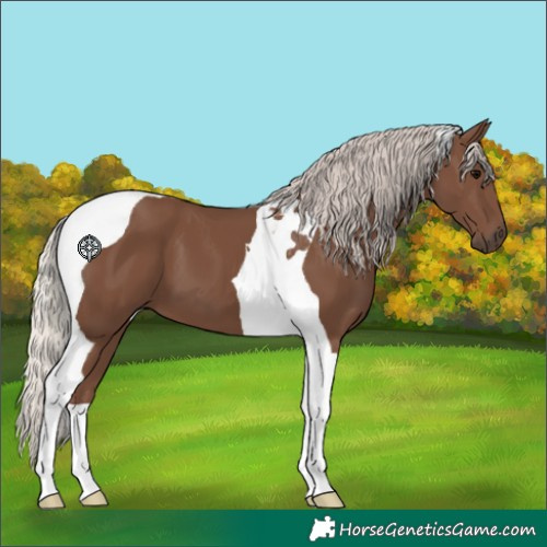 Horse Color:Silver Black Tobiano 