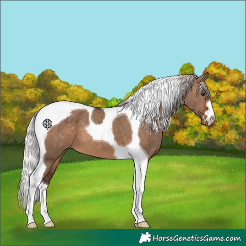 Horse Color:Silver Brown Dun Tobiano Varnish 