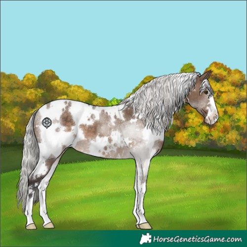 Horse Color:White Spotted Silver Brown Dun