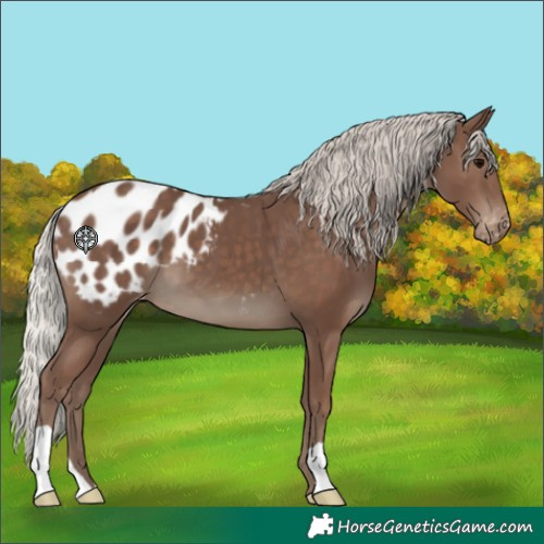 Horse Color:Silver Black Blanket 