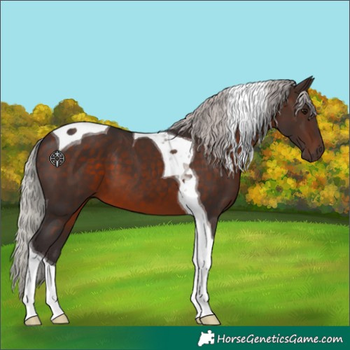 Horse Color:Silver Brown Tobiano
