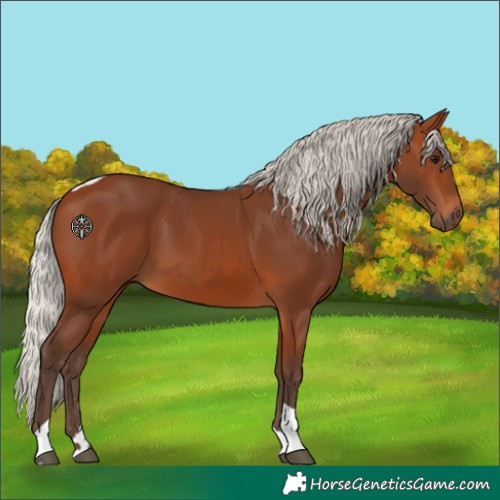 Horse Color:Silver Brown Tobiano
