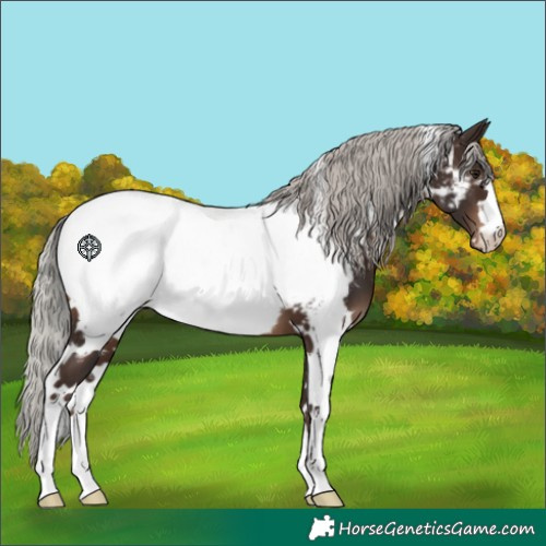 Horse Color:White Spotted Silver Brown Near Fewspot 