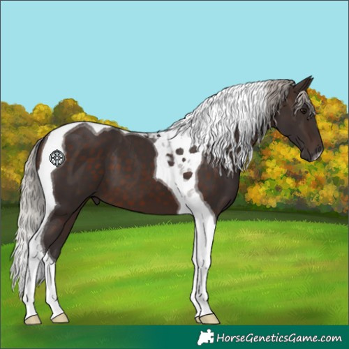 Horse Color:Silver Brown Tobiano 