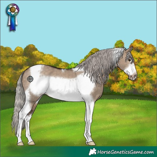 Horse Color:Silver Brown Dun Tobiano Frame