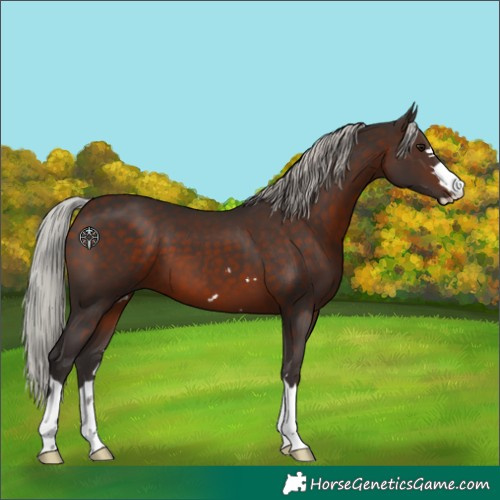 Horse Color:Silver Brown