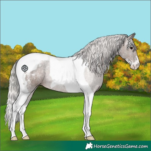 Horse Color:Powder White Silver Black Tobiano