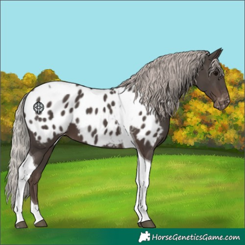 Horse Color:Silver Black Tobiano Blanket