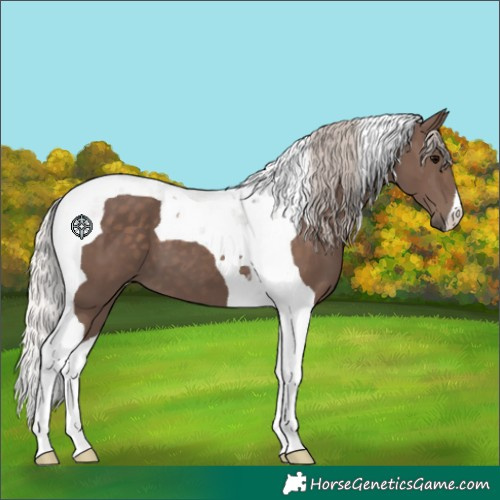Horse Color:Silver Black Tobiano