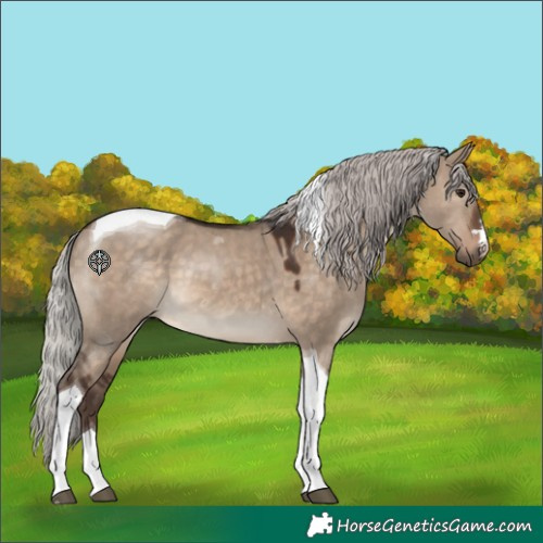 Horse Color:Silver Brown Dun Tobiano 