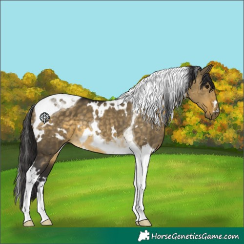 Horse Color:White Spotted Buckskin Dun Tobiano