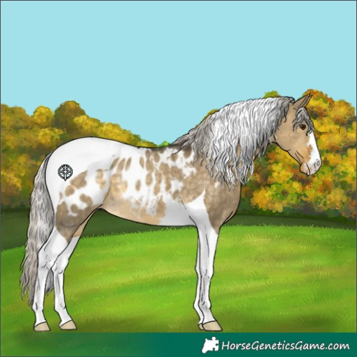 Horse Color:Silver Buckskin Dun Tobiano Near Leopard