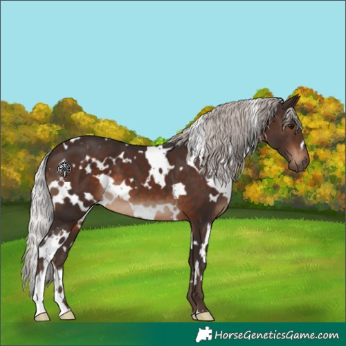 Horse Color:White Spotted Silver Brown 