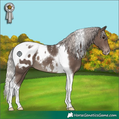 Horse Color:Silver Black Tobiano Blanket