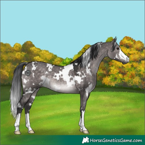 Horse Color:Platinum White Spotted Brown Dun 
