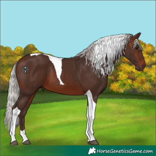 Horse Color:Silver Brown Tobiano 