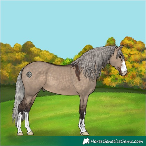 Horse Color:Silver Brown Dun