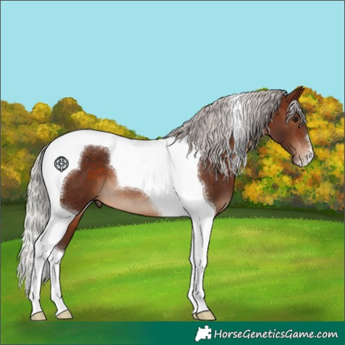 Horse Color:Silver Brown Tobiano 