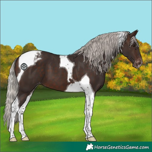 Horse Color:Silver Brown Tobiano Varnish 