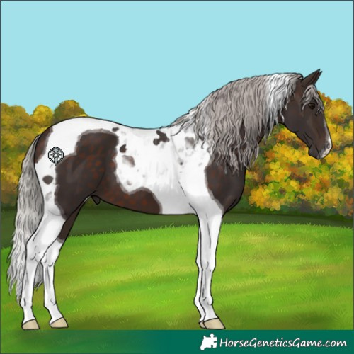 Horse Color:Silver Brown Tobiano