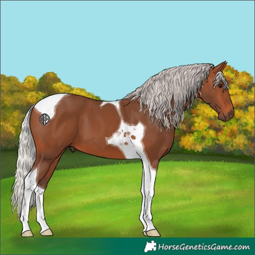 Horse Color:Silver Brown Tobiano