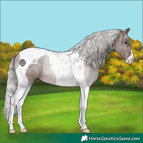 Horse Color:Silver Brown Tobiano 
