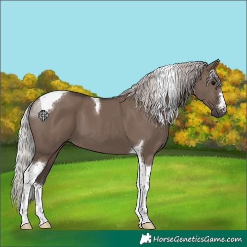 Horse Color:Silver Grullo Tobiano
