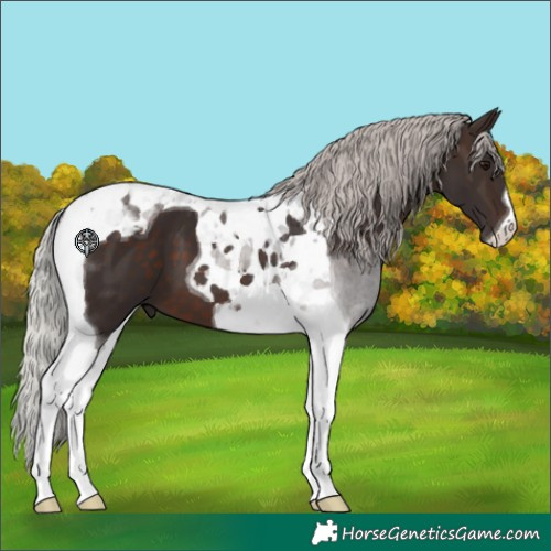 Horse Color:Silver Brown Tobiano