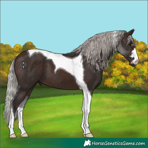 Horse Color:Silver Brown Tobiano 