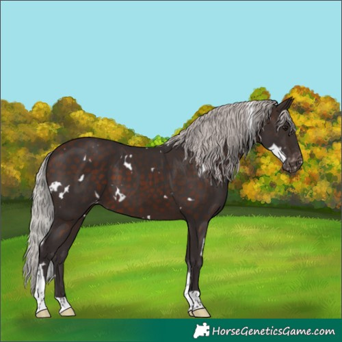 Horse Color:White Spotted Silver Brown Tobiano Varnish 