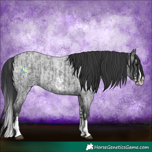 Horse Color:Blue Roan Sabino Splash  and Blue Roan Sabino Splash 