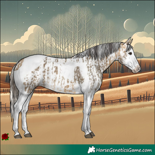 Horse Color:Buckskin Dun Splash Tobiano and Palomino Dun Splash