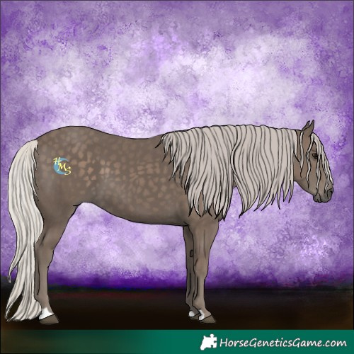 Horse Color:Silver Black