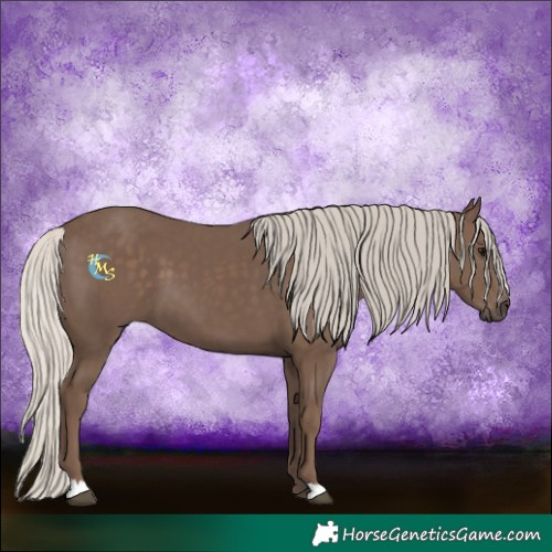 Horse Color:Silver Black 