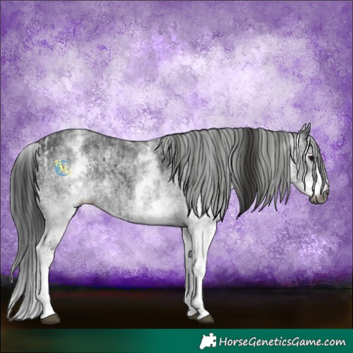 Horse Color:Gray White Spotted Black and Gray White Spotted Black