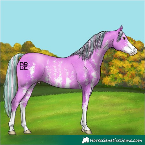 Horse Color:Painted Watercolor Gold Champagne Sabino